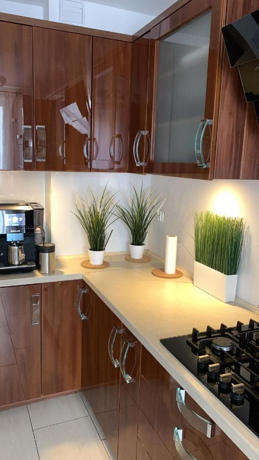 Golden Apartament Legionow Stary Toruń Dış mekan fotoğraf